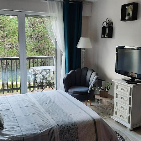 Les Dryades Gérardmer Esterno foto