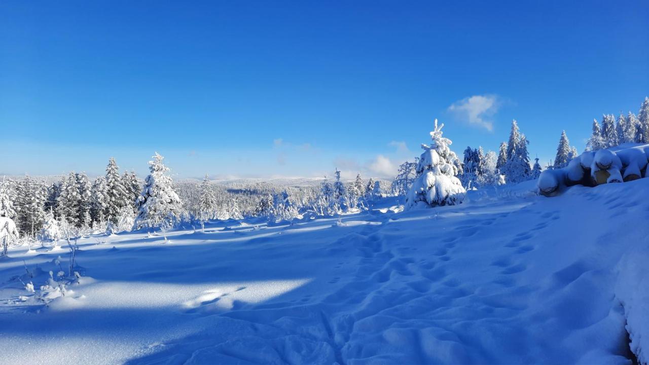 Les Dryades Gérardmer Esterno foto