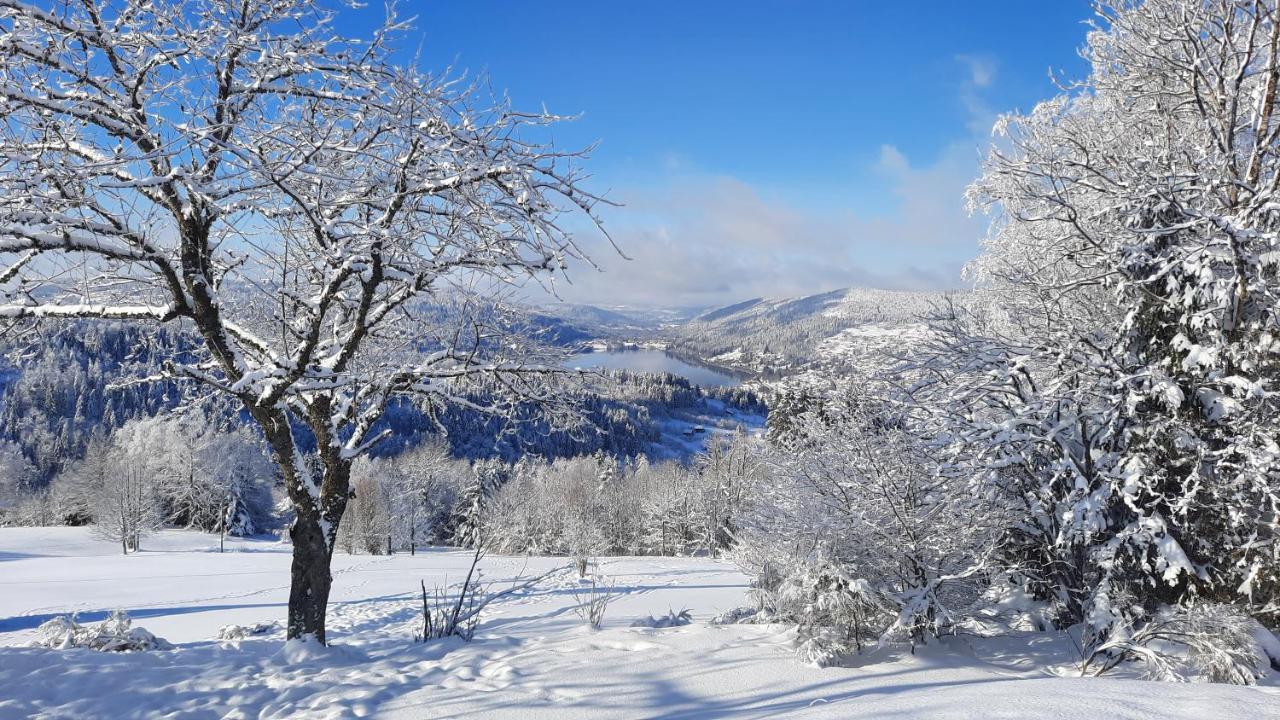 Les Dryades Gérardmer Esterno foto