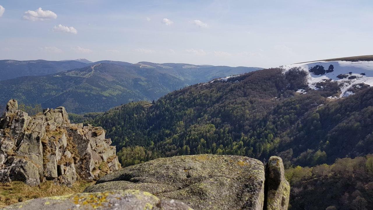 Les Dryades Gérardmer Esterno foto