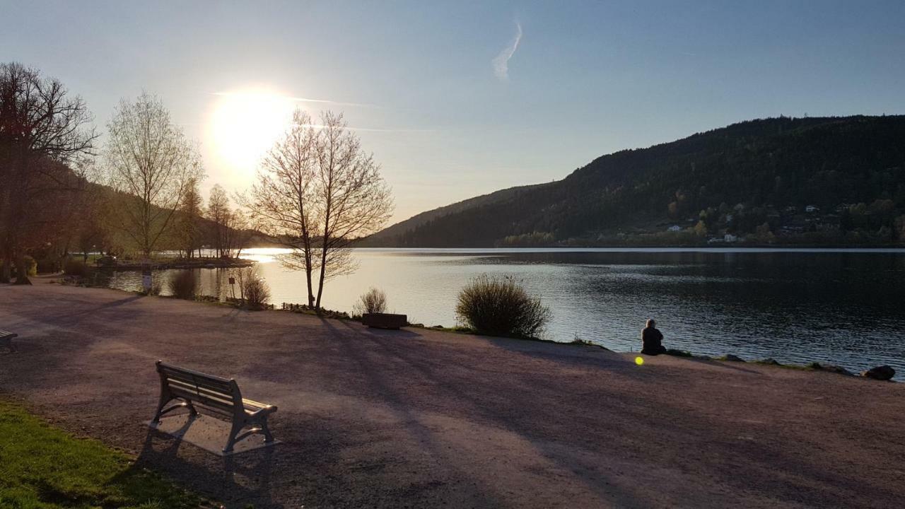 Les Dryades Gérardmer Esterno foto