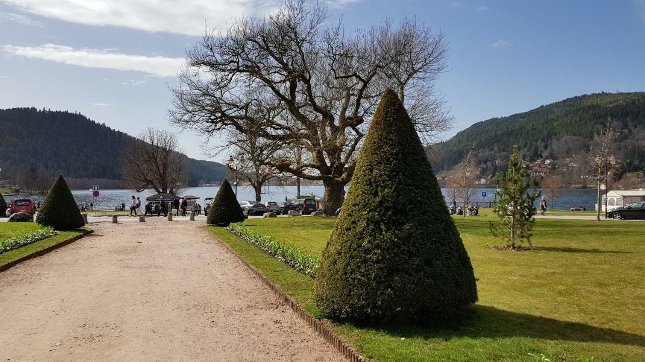 Les Dryades Gérardmer Esterno foto