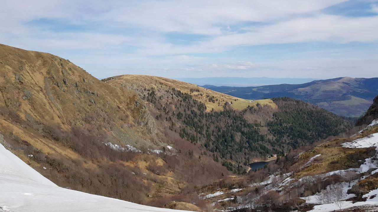 Les Dryades Gérardmer Esterno foto