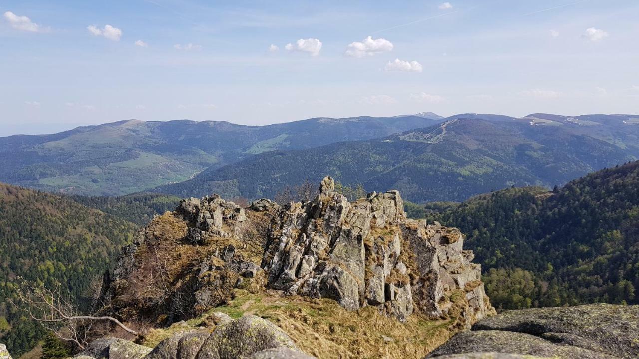 Les Dryades Gérardmer Esterno foto